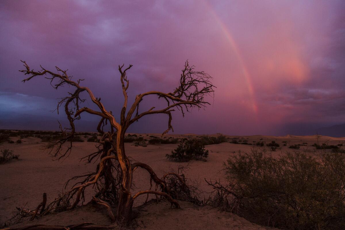 A rainbow forms during a rare stormy sunrise at Mesquite Flat Sand Dunes in Death Valley National Park.