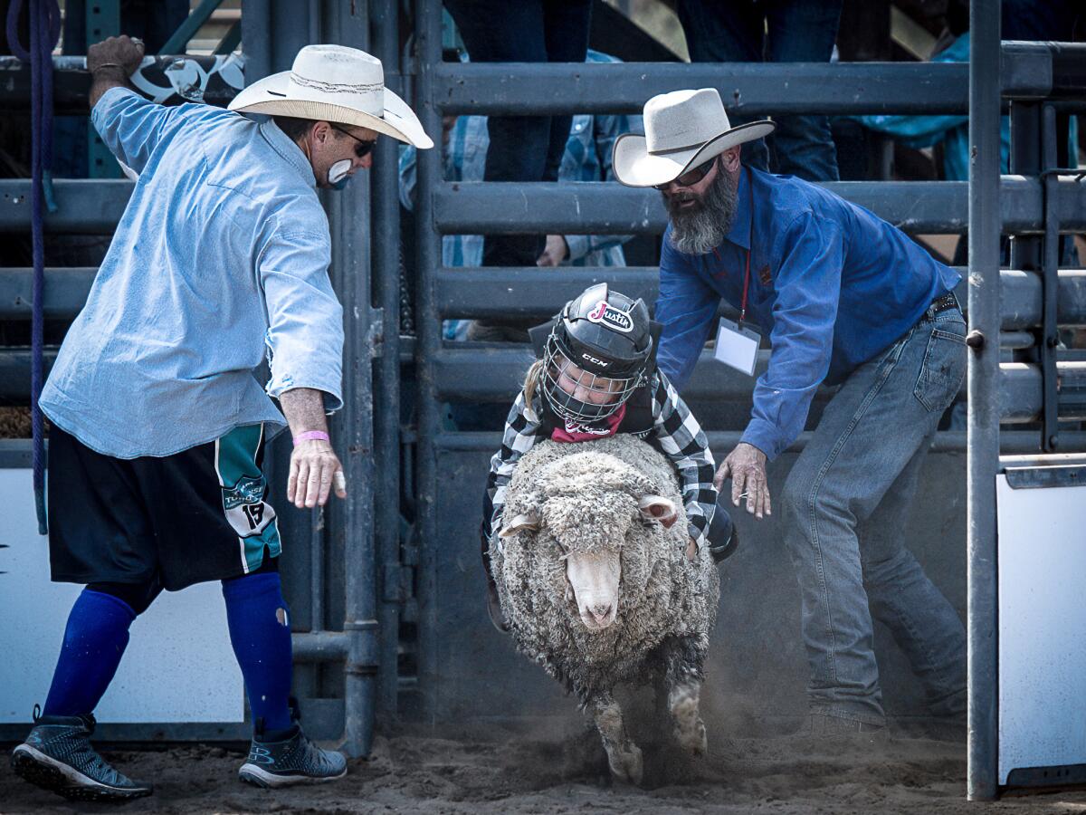 Children will be able to participate in Poway Rodeo activities such as mutton busting.