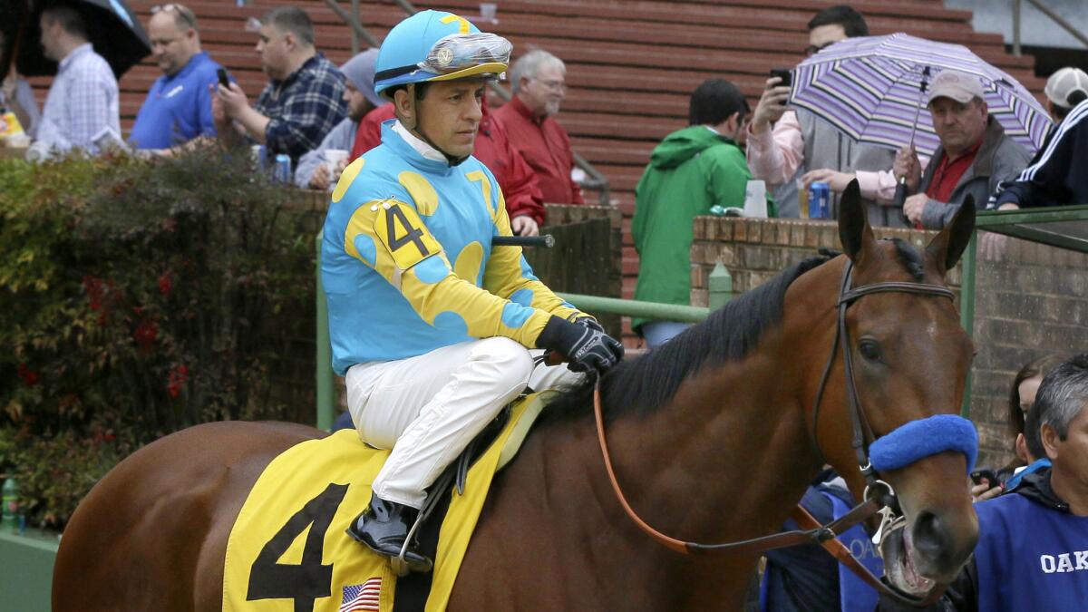 Jockey Victor Espinonza and American Pharoah are led to the starting gate before the start of the Rebel Stakes at Oaklawn Park in Hot Springs, Ark., on March 14.