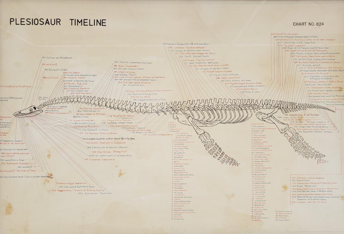 A sketch of a long skeleton with the words "Plesiosaur Timeline," at top 
