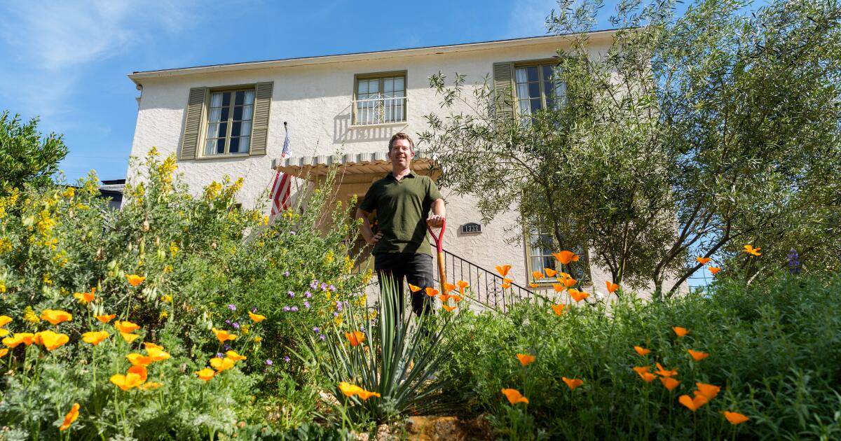 He swapped his lawn for native plants after asking, 'What was meant to be here?'