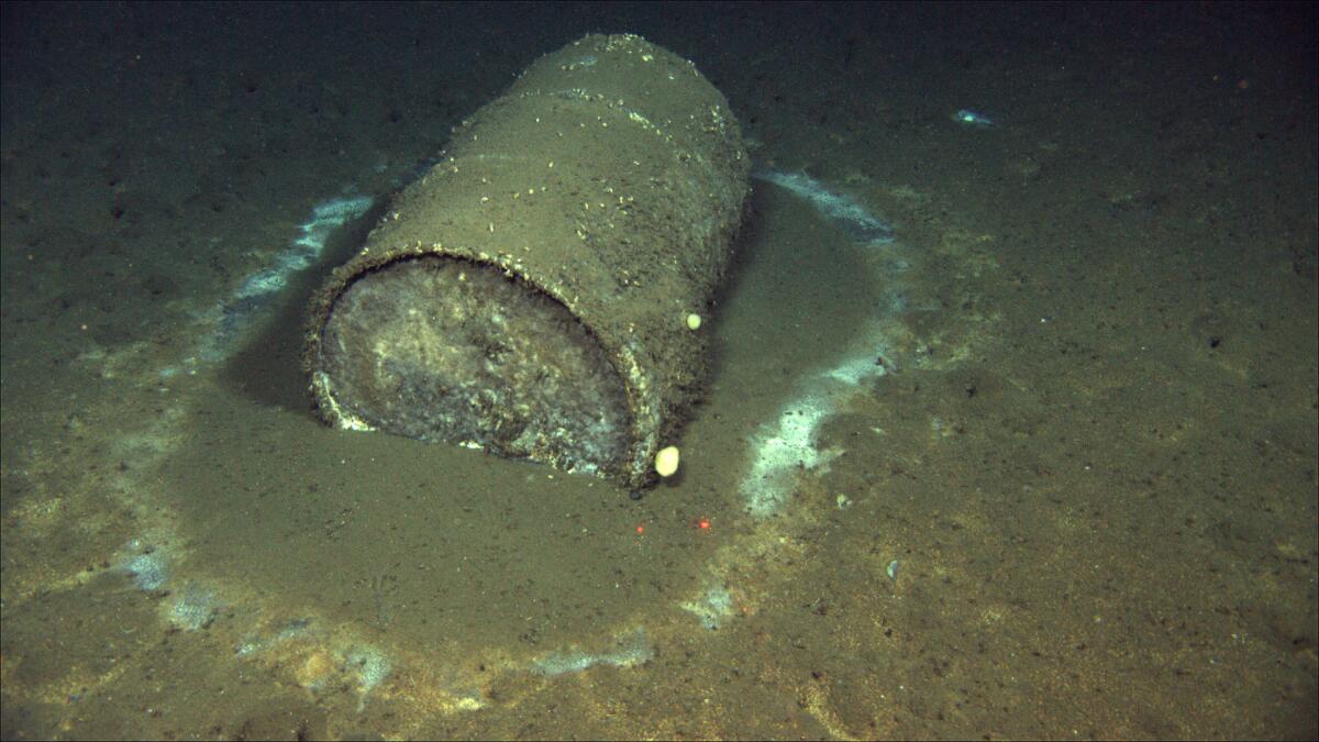A discarded barrel lies partially buried on the ocean floor