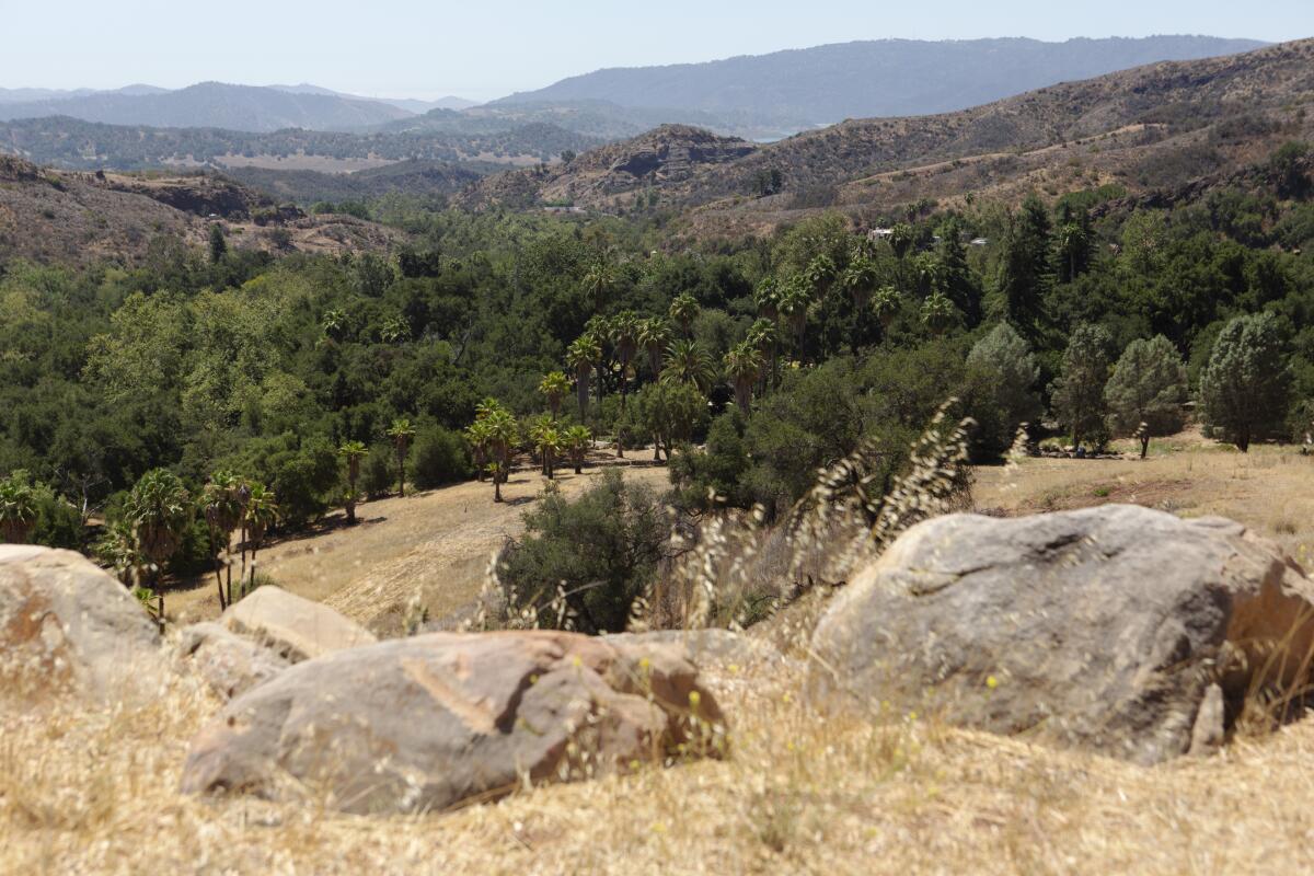 A hillside view of Taft Gardens & Nature Preserve.