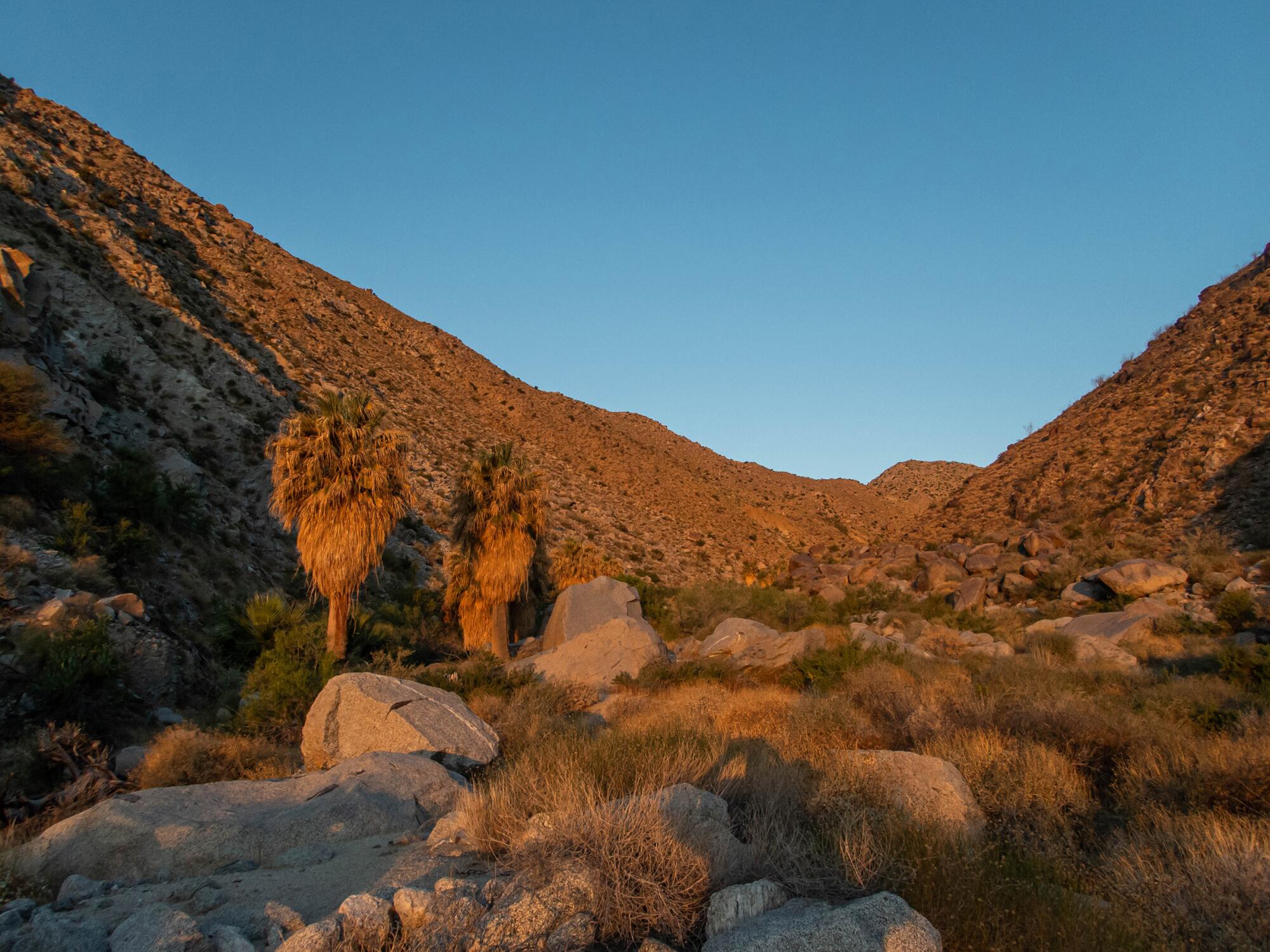 The Lower Hellhole with rocks, trees and brush in the early morning