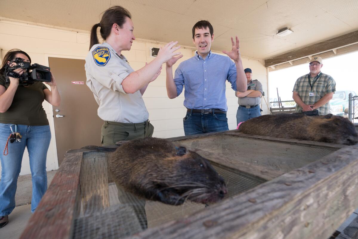 California Department of Fish and Wildlife scientist Valerie Cook, left, and Rep. Josh Harder with a dead nutria, during a tour of the department's Nutria Eradication Program headquarters in Los Banos.