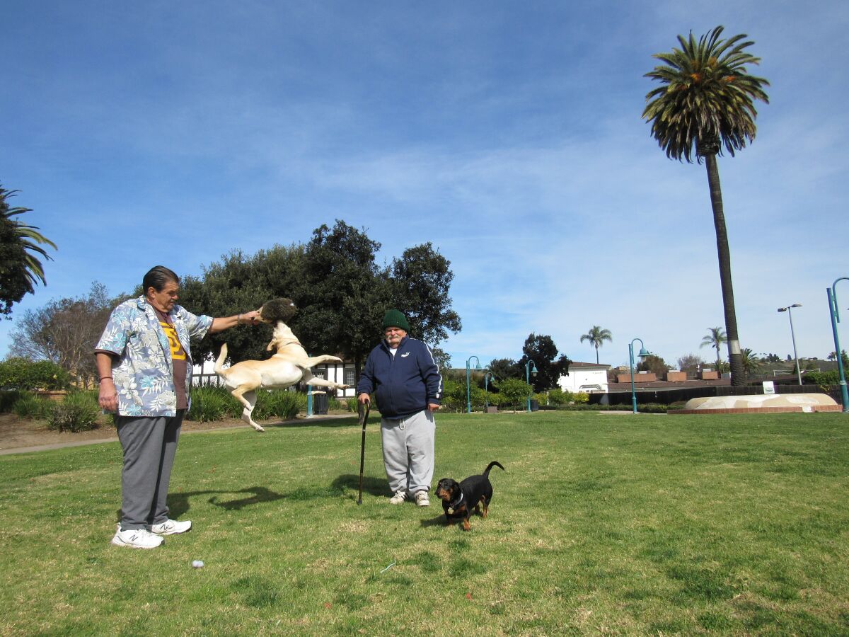 Lemon Grove residents Stanley A. Monacelli, with his dog, Lucky (left), and Steven Floyd and his dog, Molly B, enjoy the use of Civic Center Park on a recent afternoon. The park will be renamed Treganza Heritage Park after a pioneering Lemon Grove family.