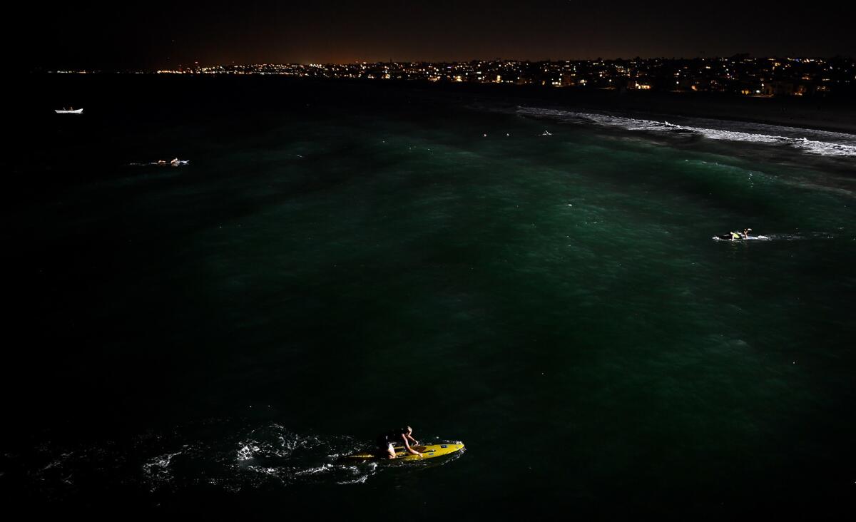 Lights from Hermosa Beach, Manhattan Beach and El Segundo form a backdrop to a paddle board relay.