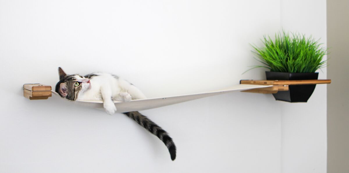 Planter Lounge Cat Hammock by Catastrophic Creations
