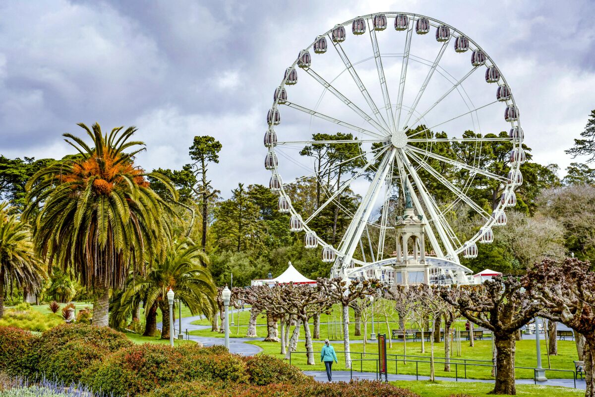 The SkyStar Wheel ferris wheel among palm trees and other greenery in Golden Gate Park.