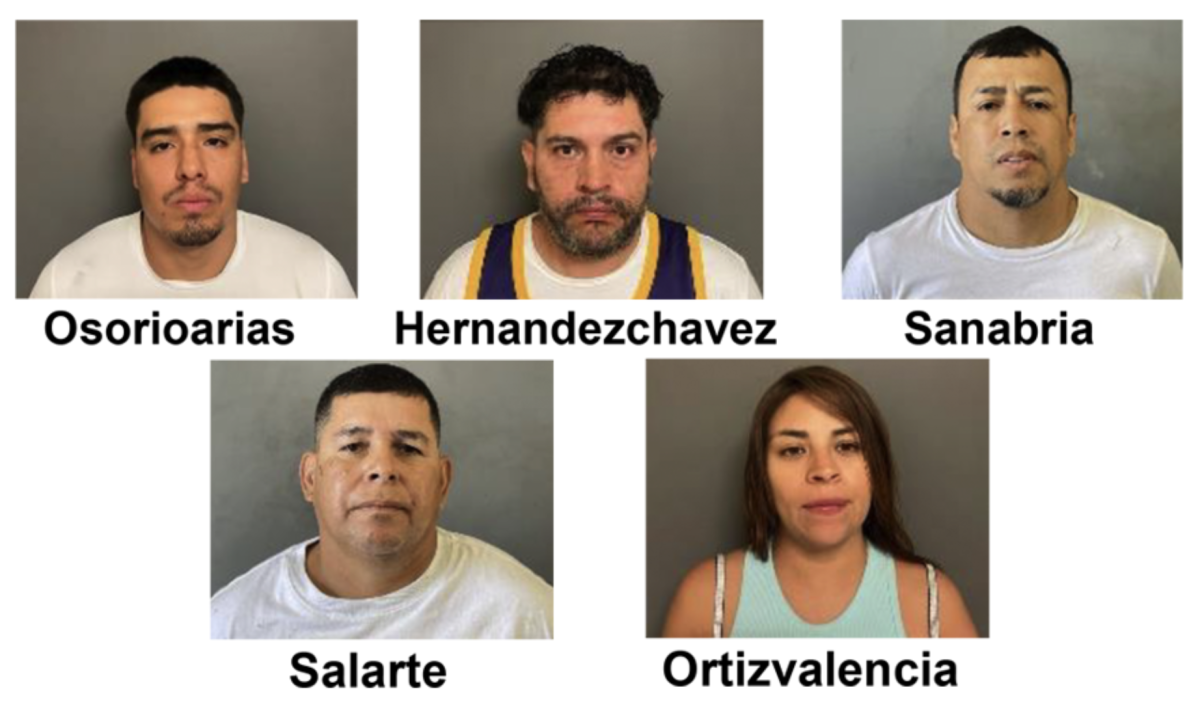 Suspects in alleged crime ring in Orange County
