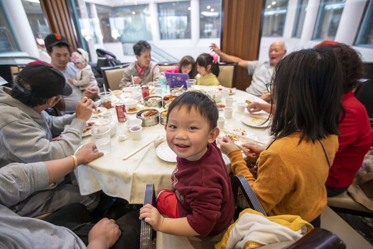 A large family is sitting at a dining table