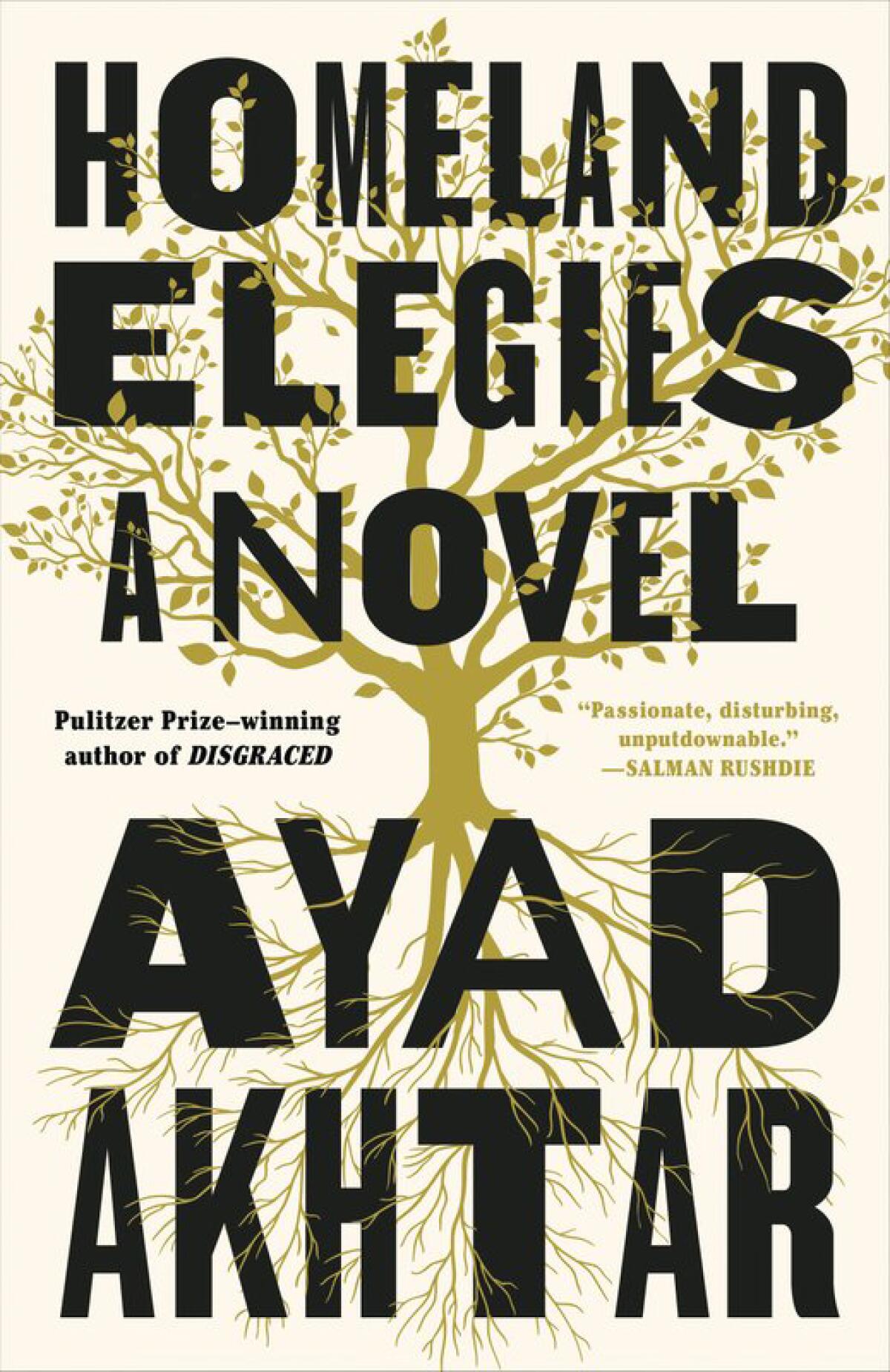 Cover image for "Homeland Elegies," by Ayad Akhtar.