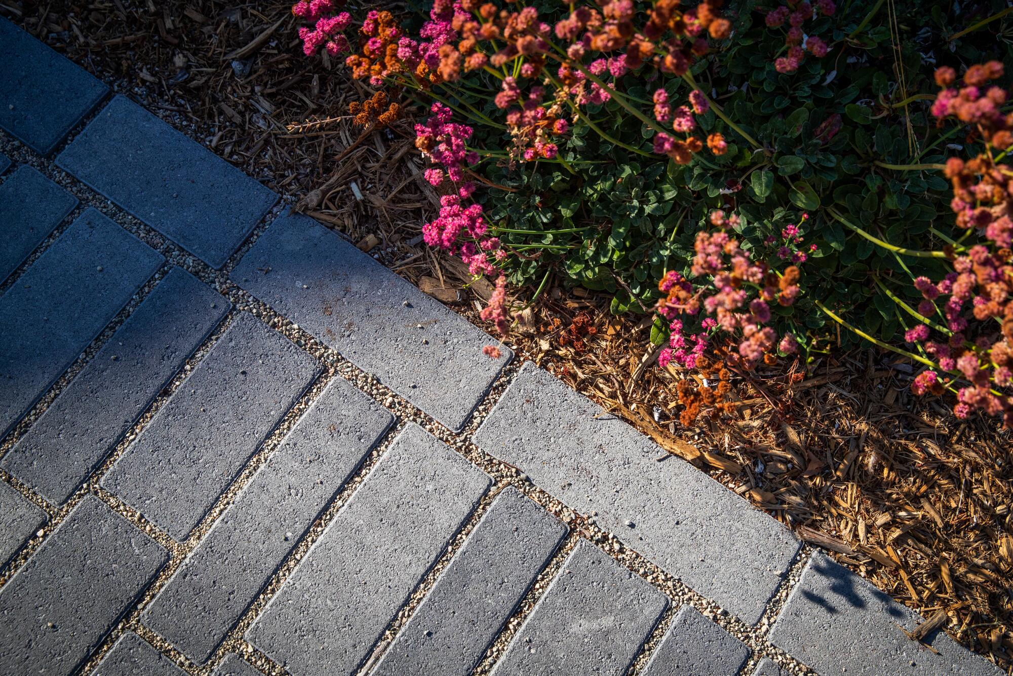 The driveway's permeable bricks direct water into the garden.