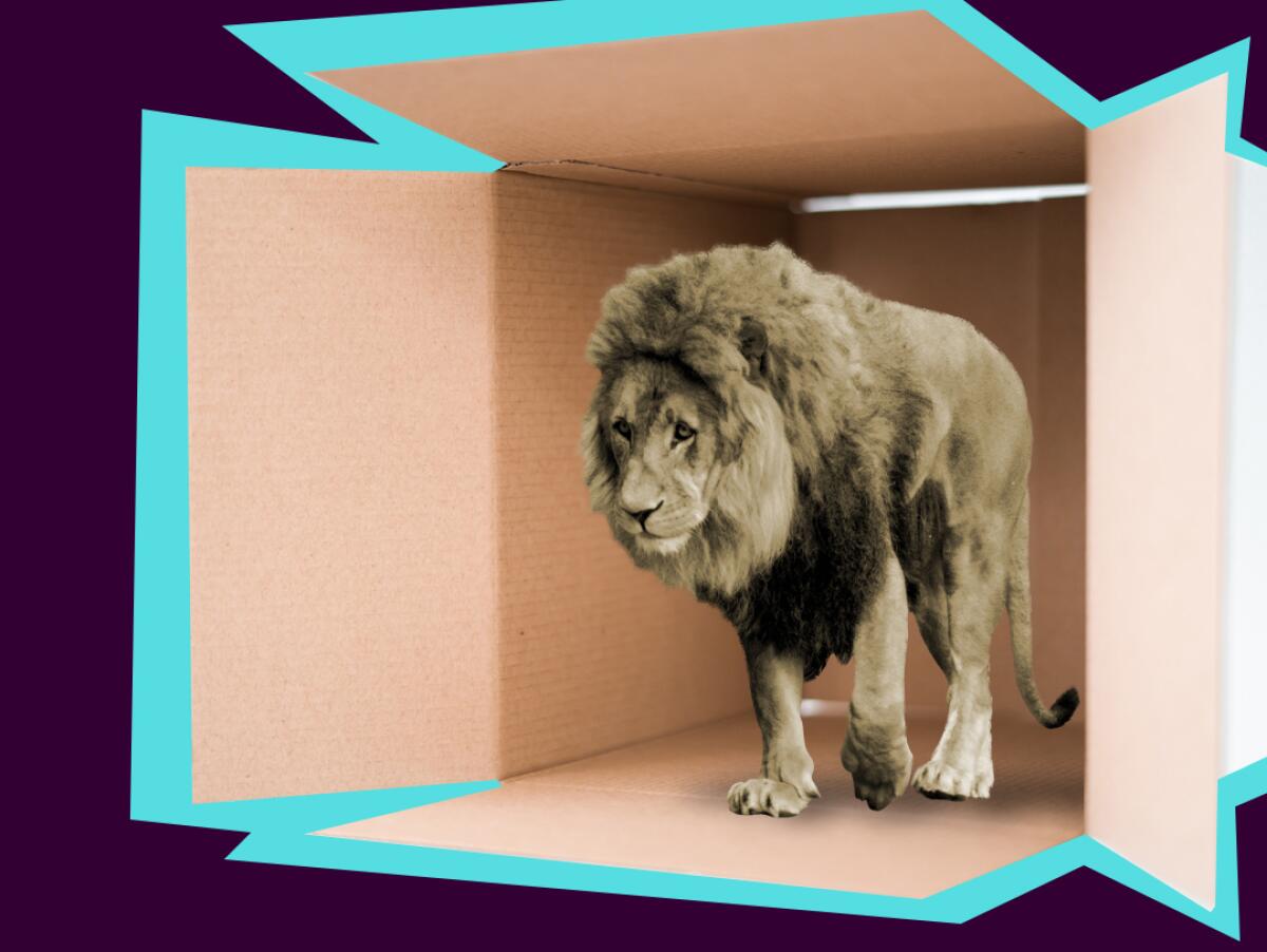 photo illustration of a lion stepping out of a cardboard box