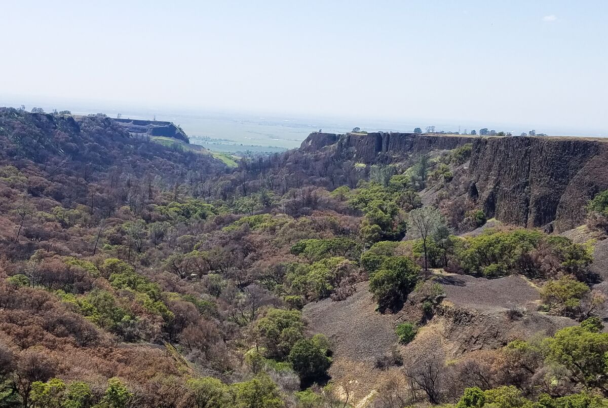 A vista at the North and South Table Mountain Ecological Reserve.