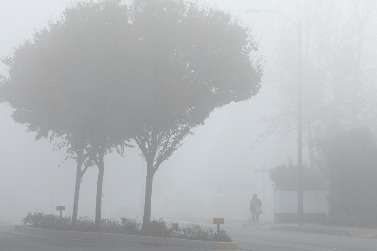 Fog shrouds trees and a pedestrian in La Cañada Flintridge