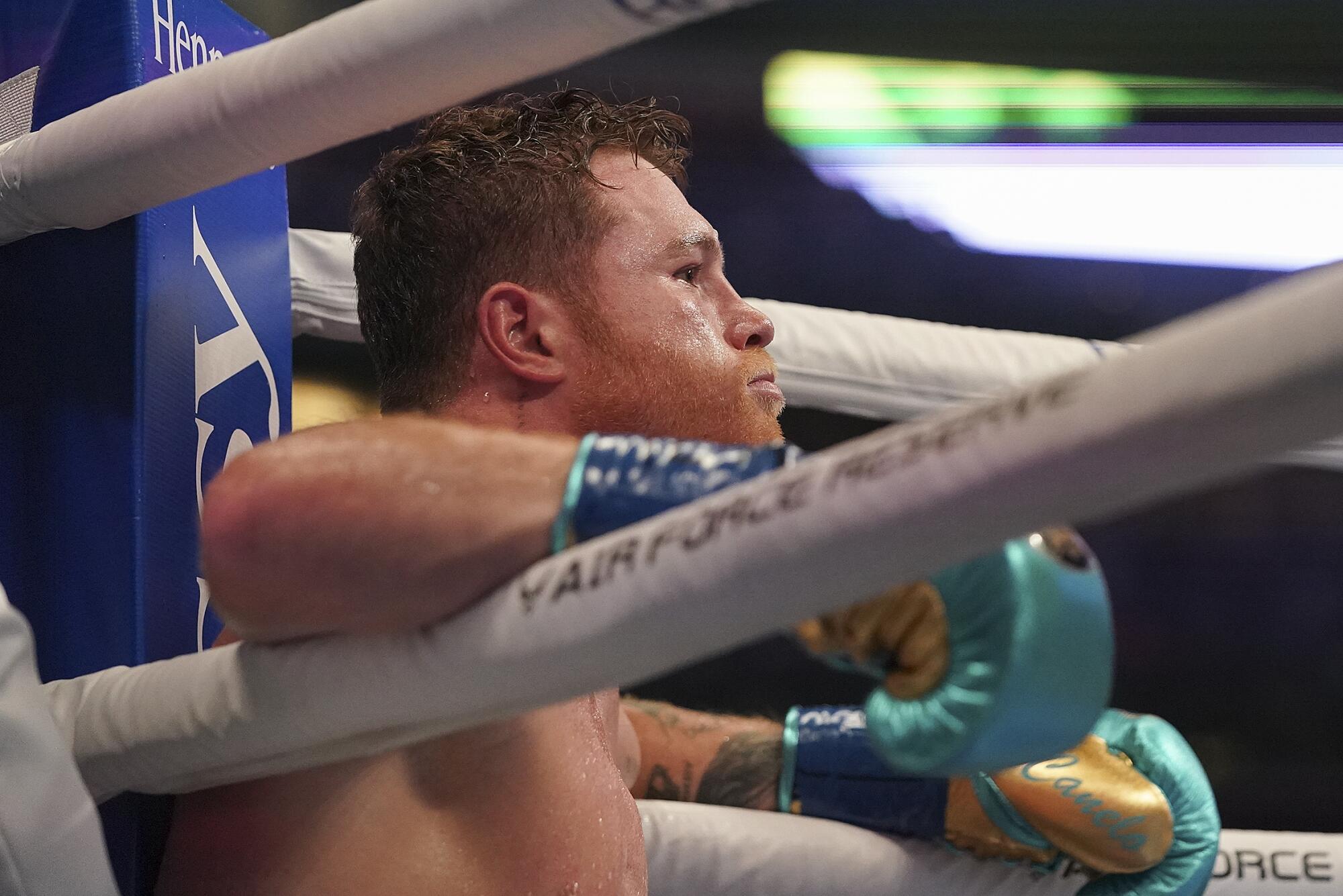 Canelo Álvarez sits down and leans his elbows on the ropes