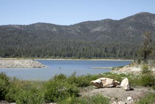 BIG BEAR, CA - MAY 31: A controversial US Forest Service plan calls for removing tens of thousands of trees from 13,000 acres on the north side of Big Bear Valley to reduce the risk of a potentially catastrophic wildfire and creating more than 40 miles of ebike trails in the same area. The North Big Bear Landscape Restoration Project is supported by the area's business community but opposed by environmental groups led by the Sierra Club. Photographed on Tuesday, May 31, 2022 at Big Bear Lake in Big Bear, CA. (Myung J. Chun / Los Angeles Times)