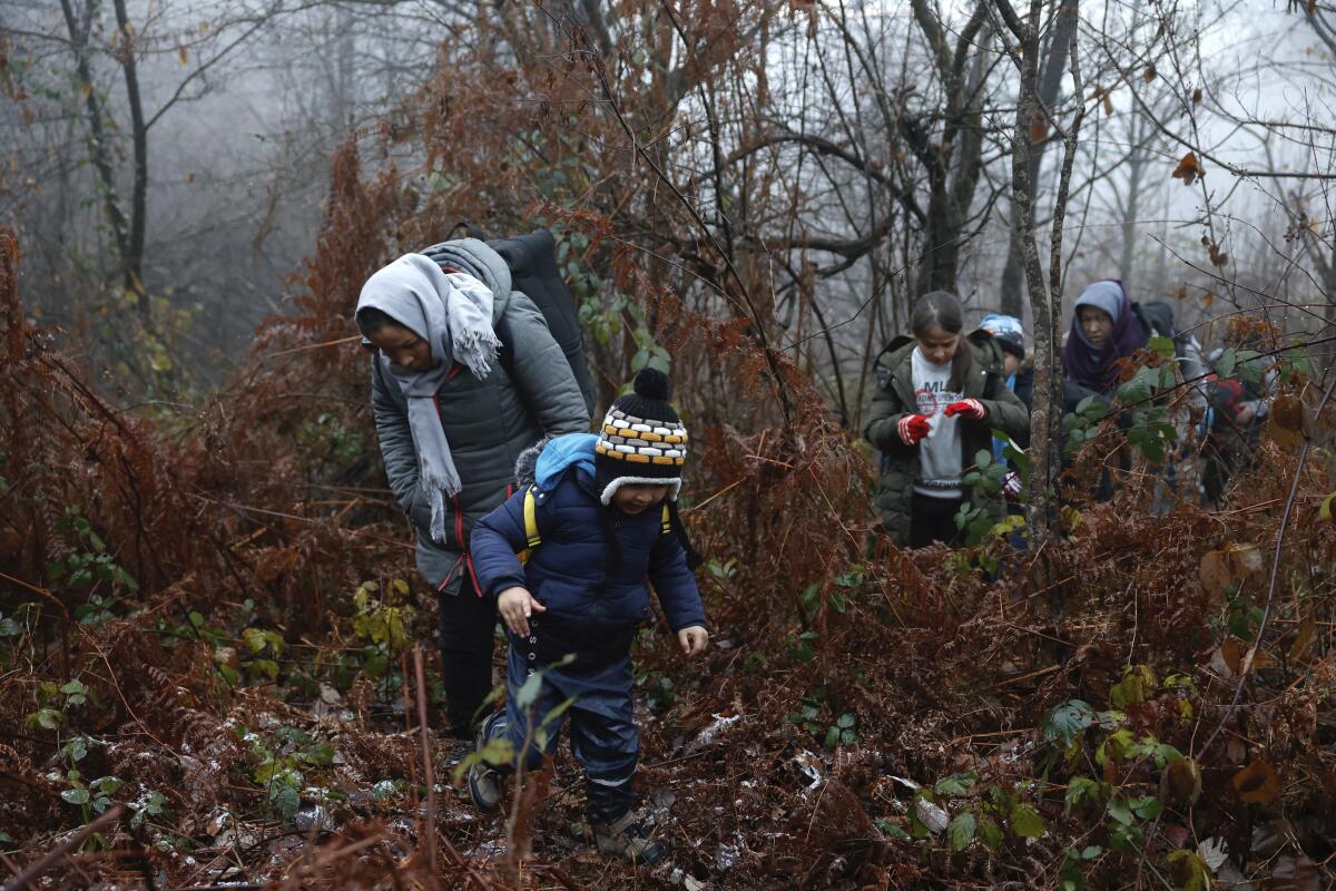 A woman and her 5-year old son walk through a Croatian forest with others after crossing the border from Bosnia-Croatia