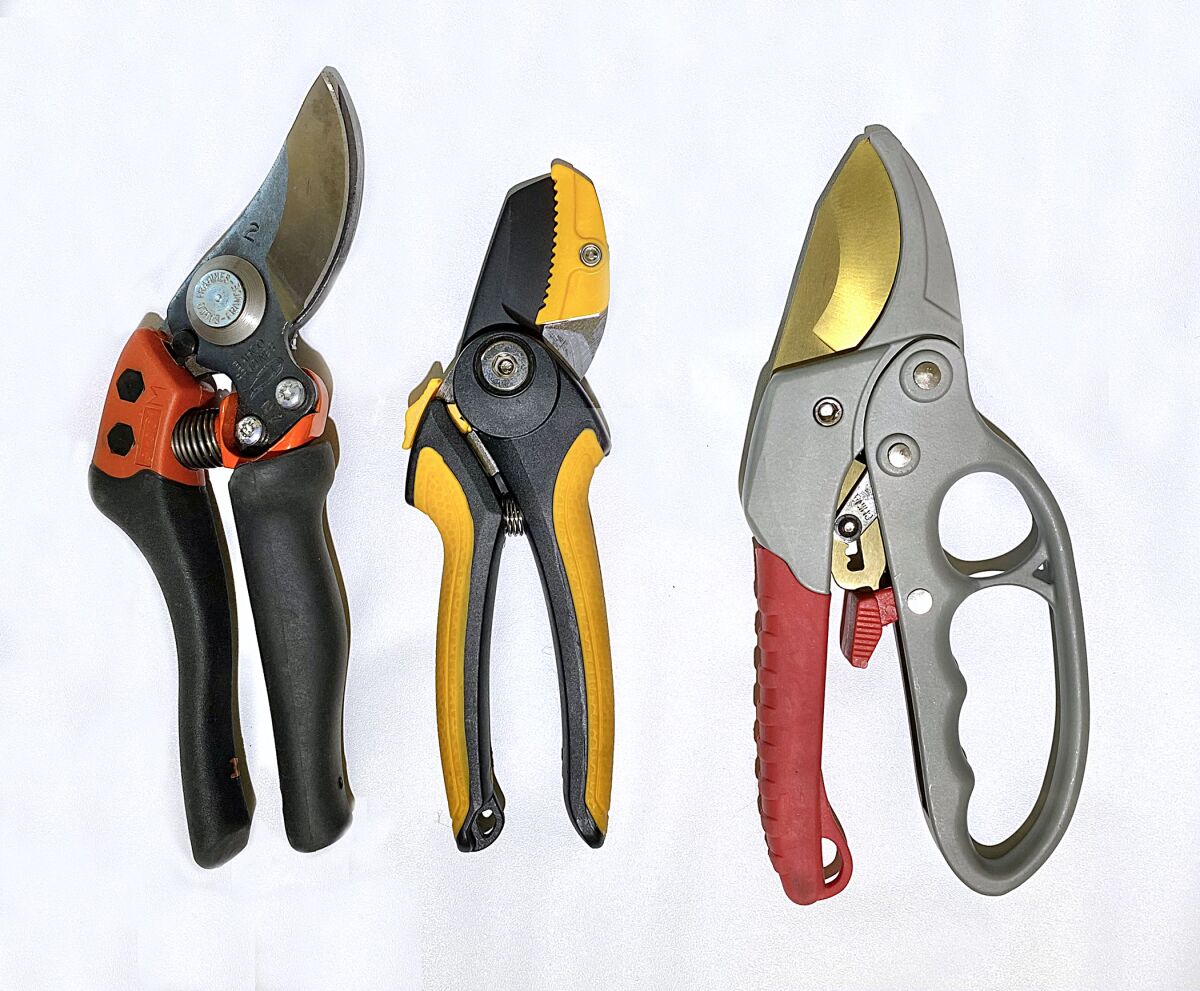 Three types of pruners are shown to cut plant material: bypass, anvil and ratcheted pruners. 