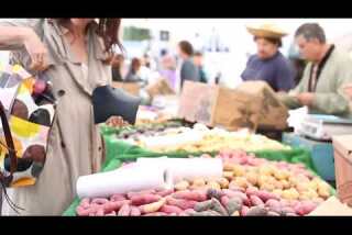 Market Fresh: New Potatoes 