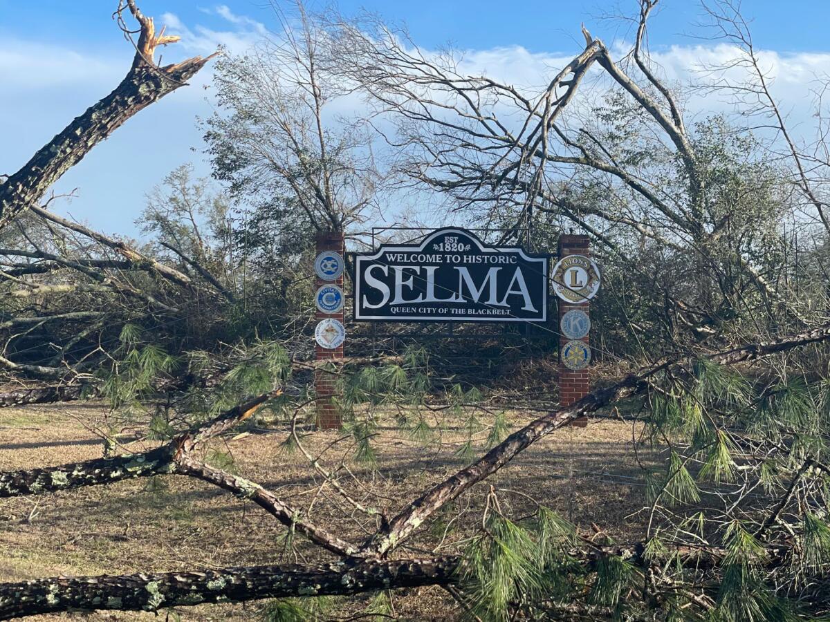 Fallen trees surround a "Welcome to Historic Selma" sign. 