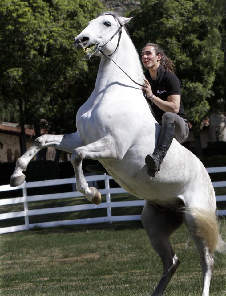 Trainer and performer Antoine Romanoff rides Zinco, a Lusitano horse, at the Hummingbird Ranch in Santa Susana, Calif., as they prepare for the upcoming "Cavalia's Odysseo" show. The show opens Wednesday in downtown Burbank.