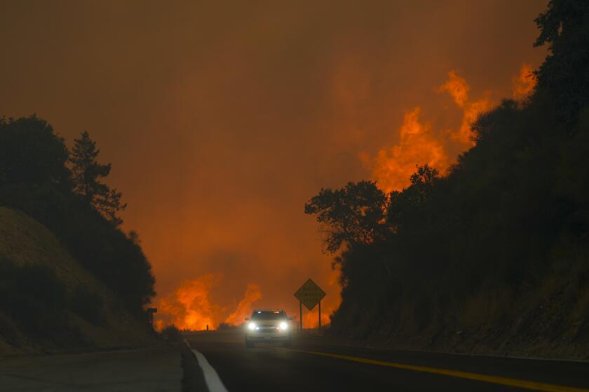 The Line Fire jumps highway 330 as a motorist speeds past Saturday, Sept. 7, 2024, near Running Springs, Calif. (AP Photo/Eric Thayer)