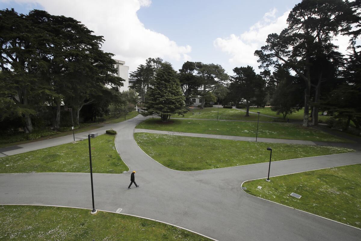 A man walks alone on a path on the San Francisco State campus.