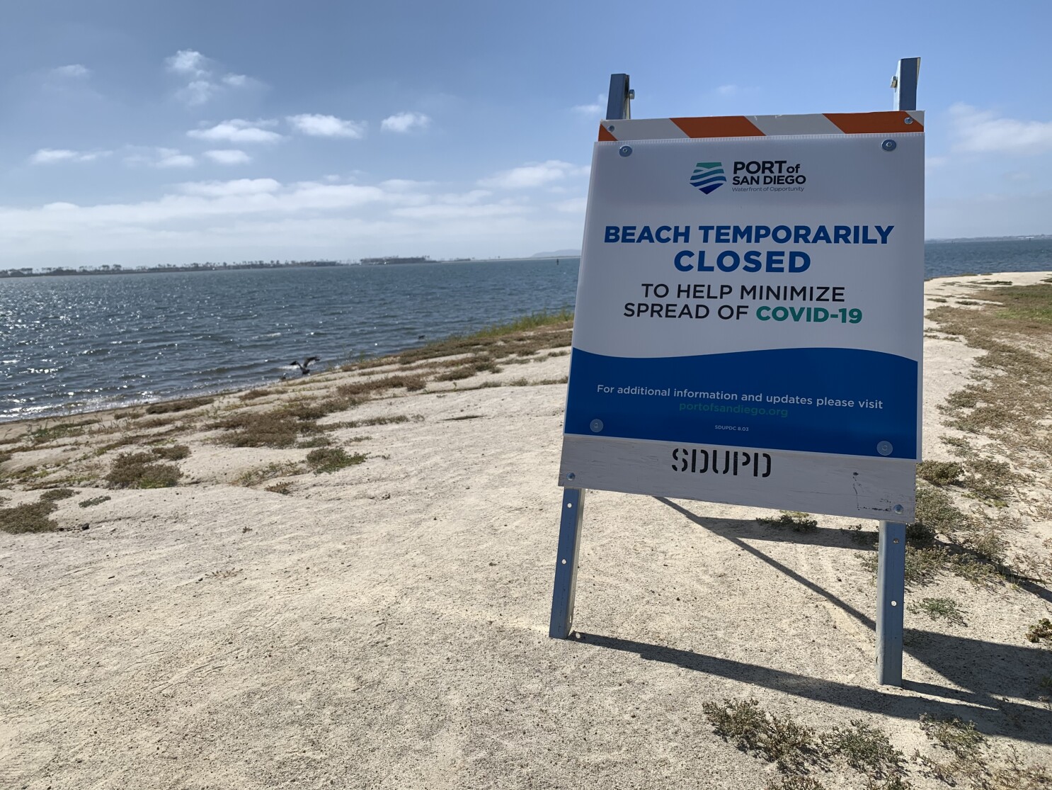 the san diego union tribune