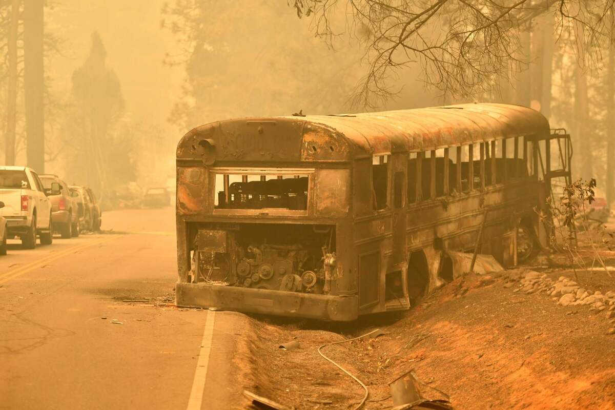 A burned-out school bus sits on the side of a road in Paradise.