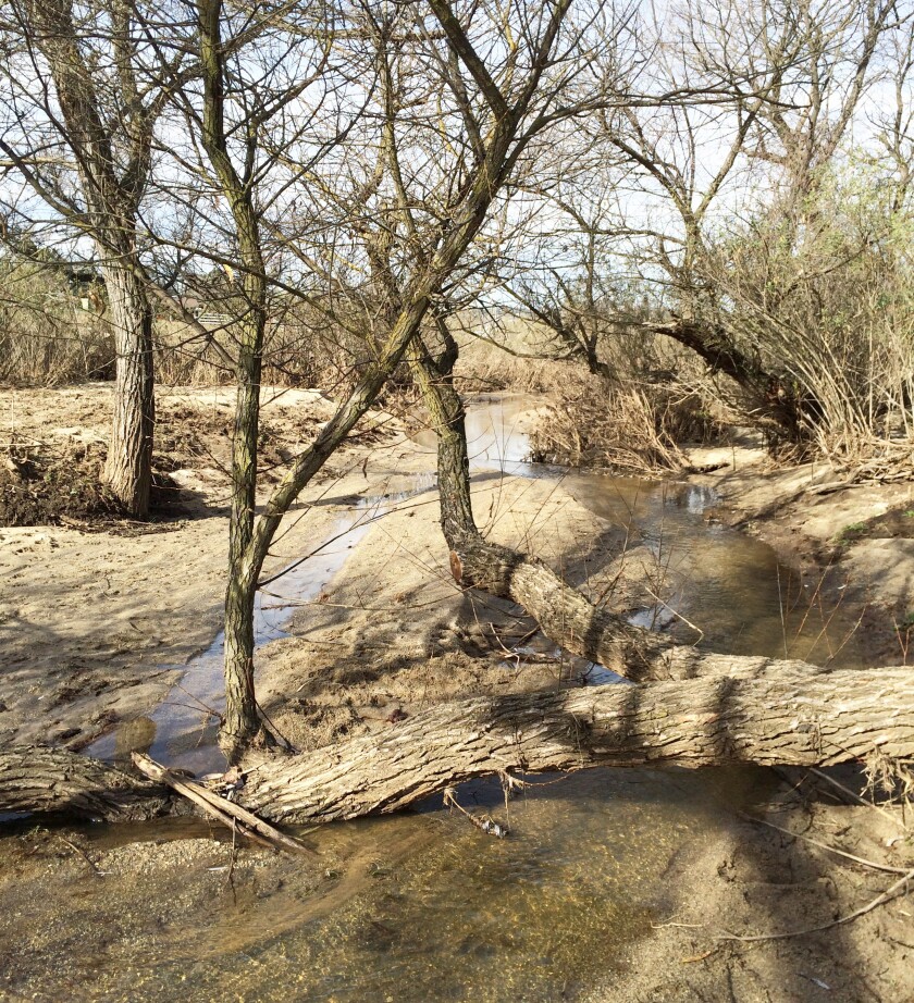 A community cleanup of Santa Maria Creek in Ramona will be held Saturday, Jan. 22.