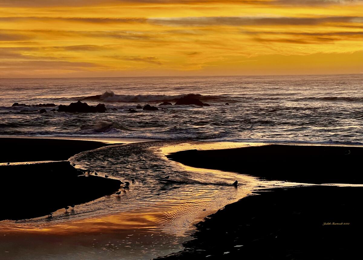 A picture-perfect sunset at Moonstone Beach.