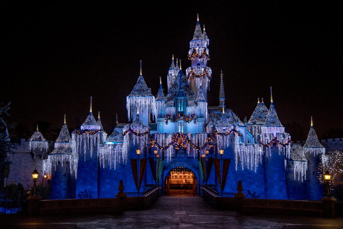 A theme park castle at night with icicle lights.