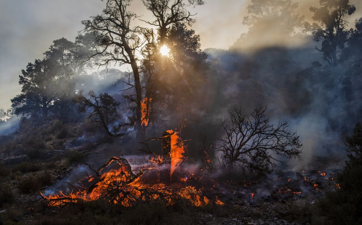 The Bobcat fire burns a portion of the Angeles National Forest near Llano on Sept. 20, 2020. 