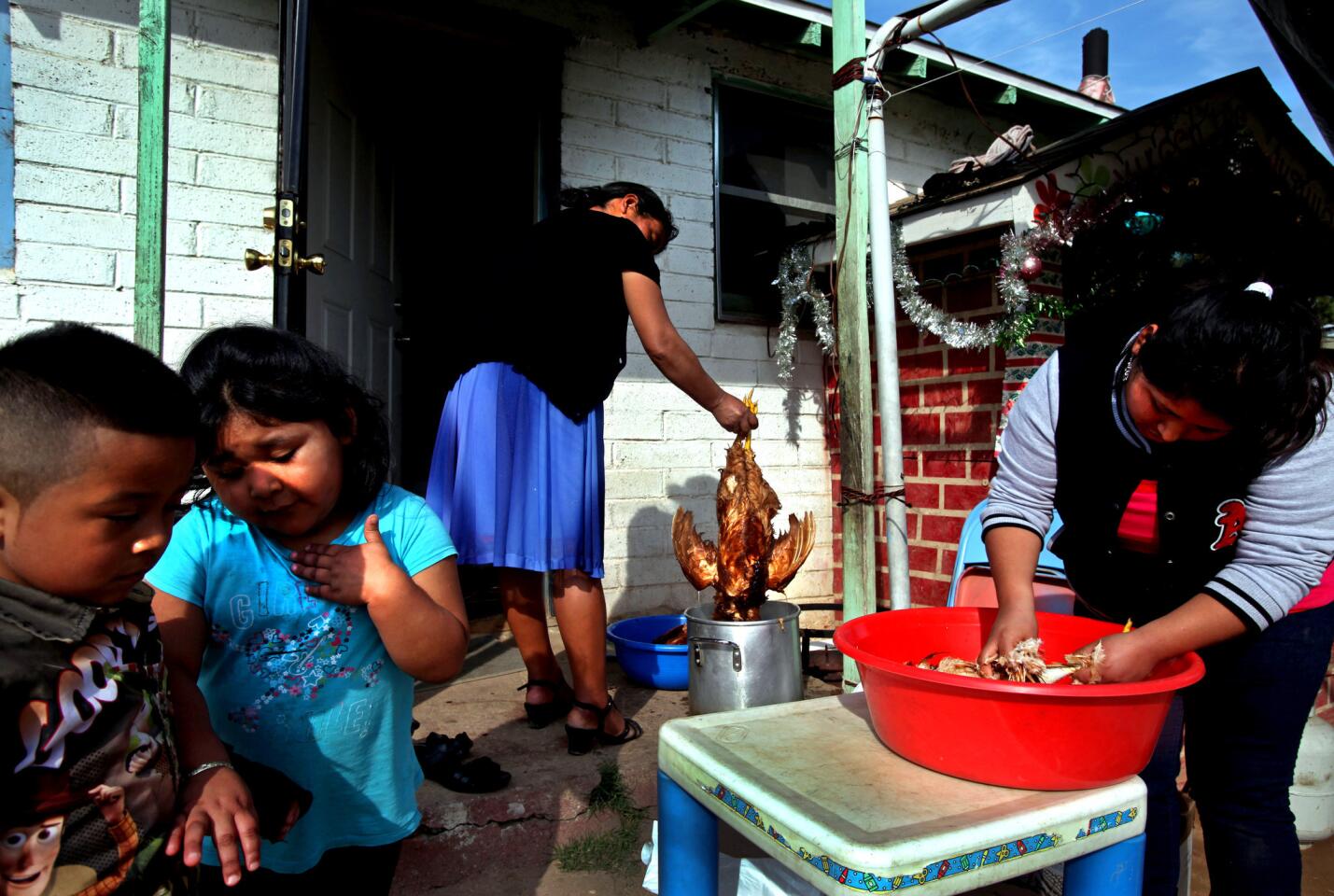 The Vasquez family has members who are eligible for the federal "deferred action" program. They are part of a second wave of applicants, after the educated urban youths, who are applying to get work permits and a two-year reprieve from deportation. Elvira Vasquez, right, plucks chickens as her son Miguel, 4, left, and niece Lydia, 4, stand nearby.
