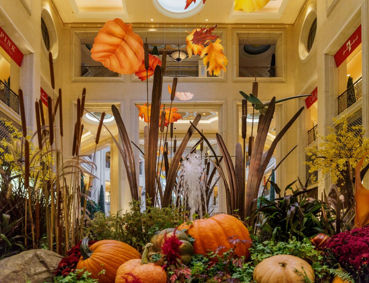 The Palazzo's new autumn display in the Waterfall Atrium includes giant metal cattails, falling leaves and enormous pumpkins.