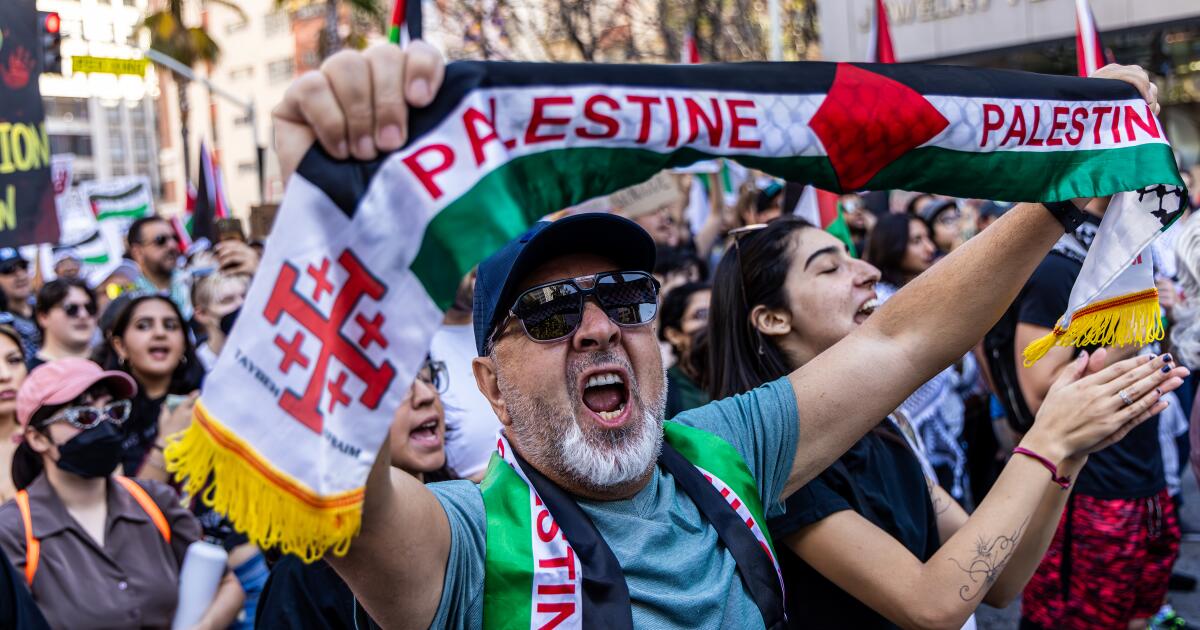 支持巴勒斯坦的人士在洛杉矶市中心游行