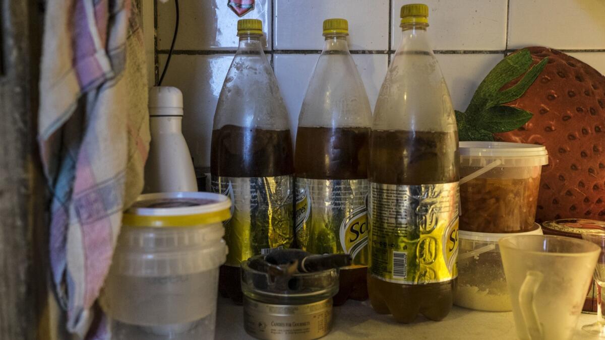 Bottles of kombucha made by Boris Korkin rest on a counter in his Moscow apartment.