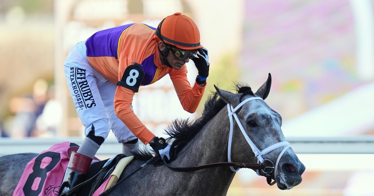 Favorite Ted Noffey wins million Breeders’ Cup Juvenile Favorite Ted Noffey wins million Breeders’ Cup Juvenile