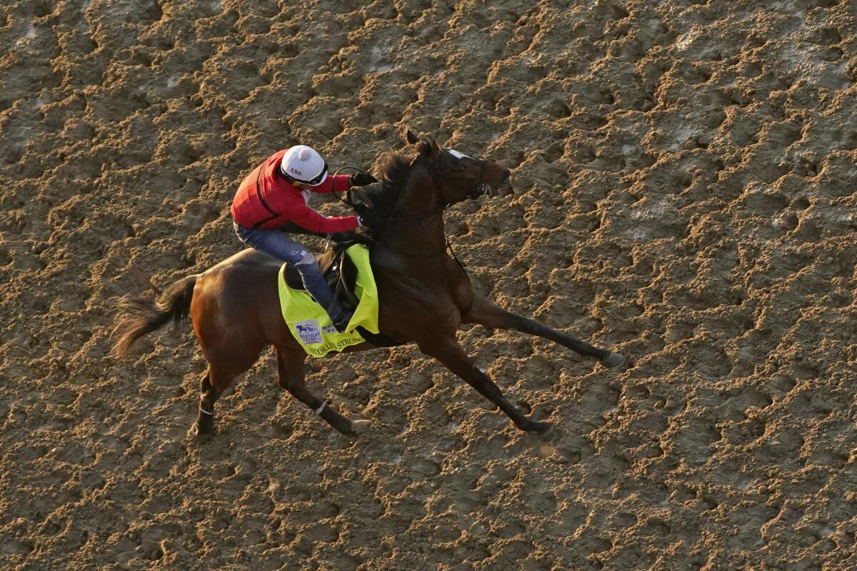 Brooklyn Strong works out at Churchill Downs on Friday.