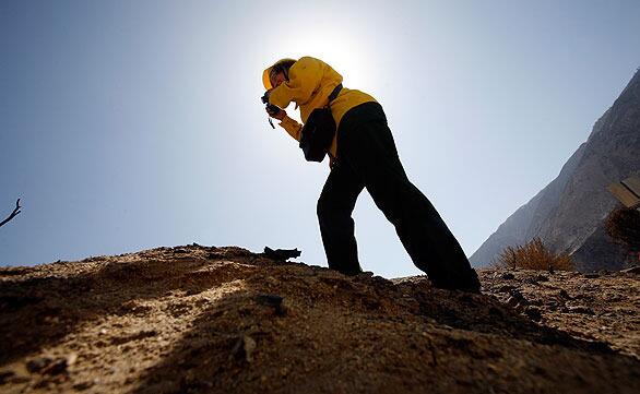 Jan L. Beyers, a plant specialist, photographs a fire-ravaged area for a Forest Service report on the September blaze.
