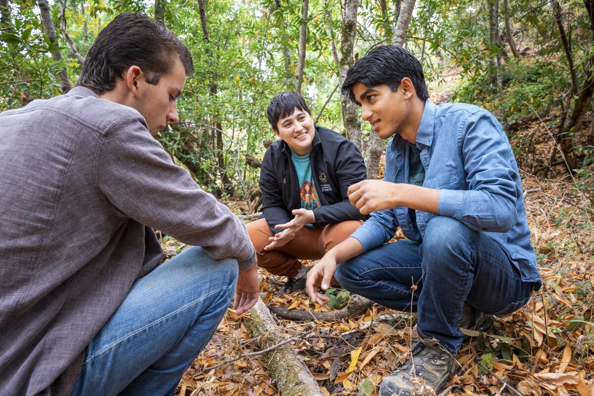 Harper Forbes, Prakrit Jain and Lauren Esposito search for scorpions.