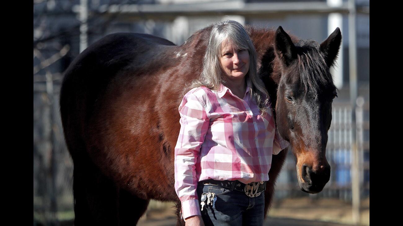 Griffith Park Horse Rentals owner Julie Schad stands next to one of her 50 horses, at the stables within the Los Angeles Equestrian Center in Burbank, on Thursday, Feb. 15, 2018. Schad’s contract has not been renewed and she will have to move out to another location.