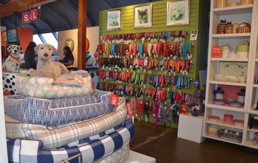 Muttropolis offers creative and innovative toys and the best in apparel, leashes, bowls and beds.