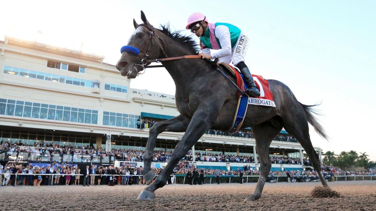 Arrogate crosses the finish line to win the $12-million Pegasus World Cup Invitational at Gulfstream Park on Jan. 28.