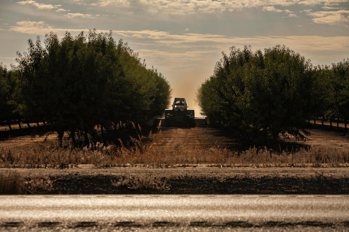 A tractor clears the ranks in a garden