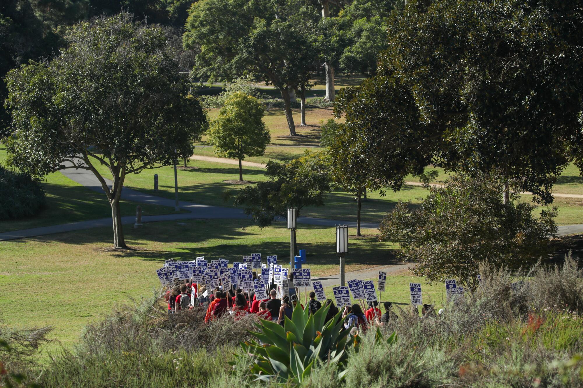 A group of demonstrators with signs walk through a green and leafy area at UCI