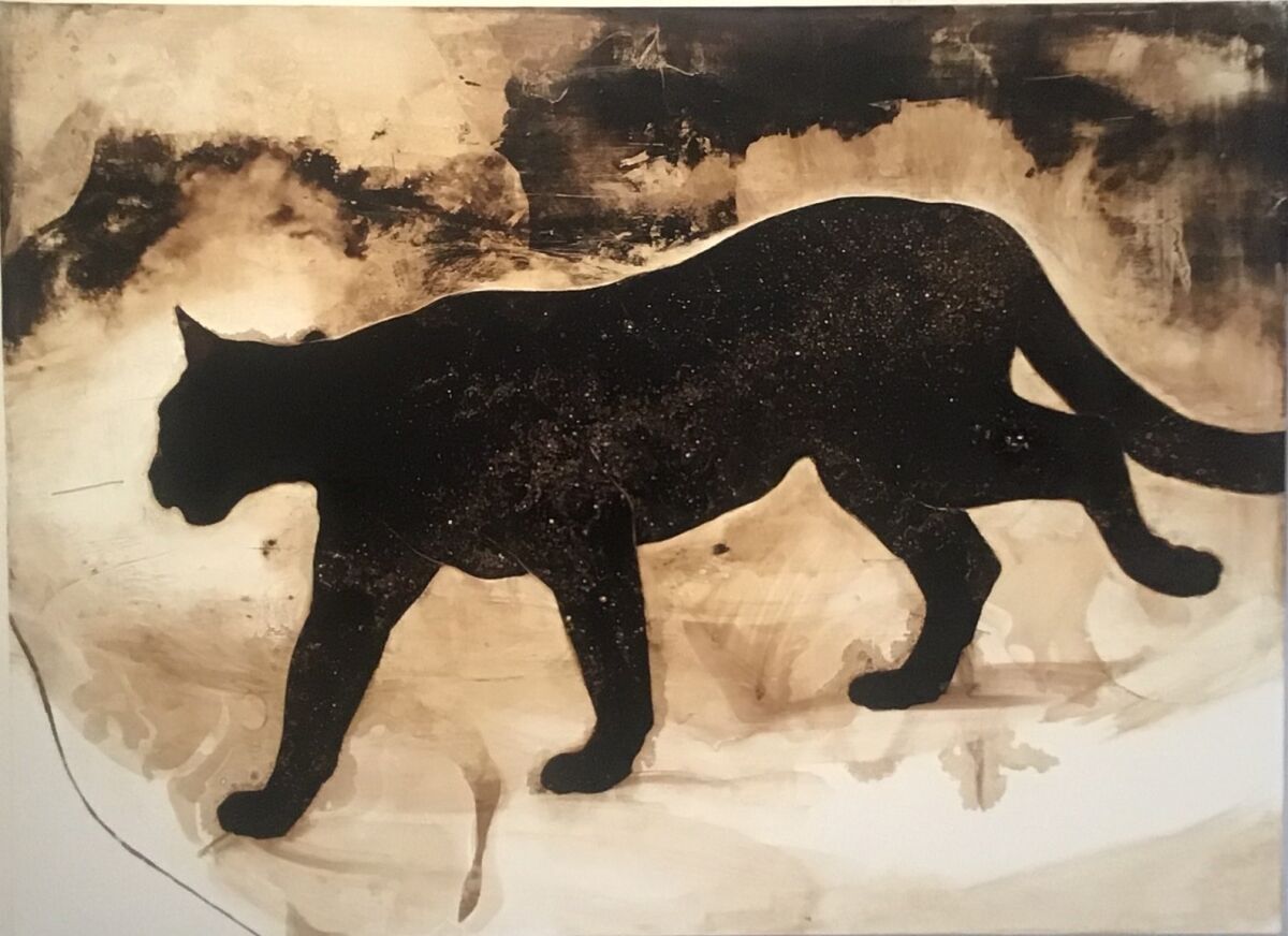 "Cougar With Milky Way" by James Griffith, 2019. Tar on canvas, 48 inches by 66 inches