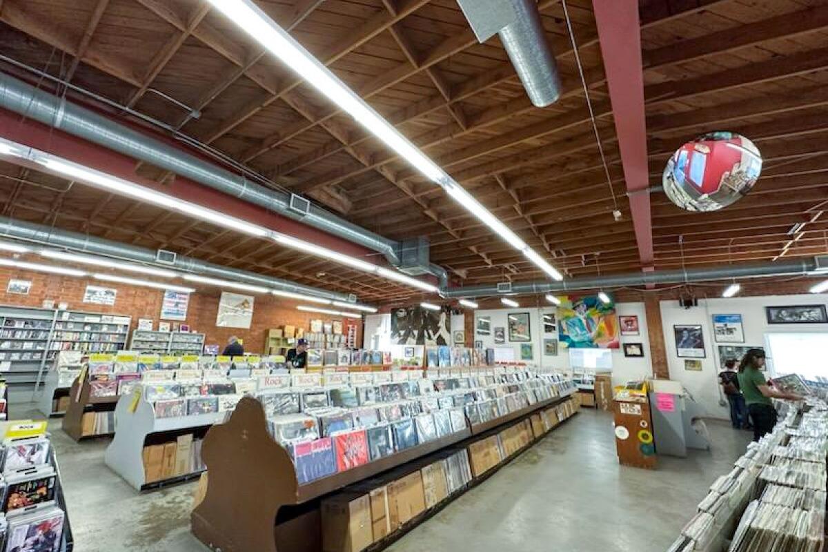 Record Surplus' shelves of vinyl
